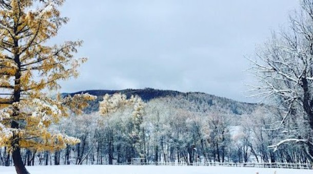 Өнөөдөр ихэнх нутгаар цаг агаар тогтуун